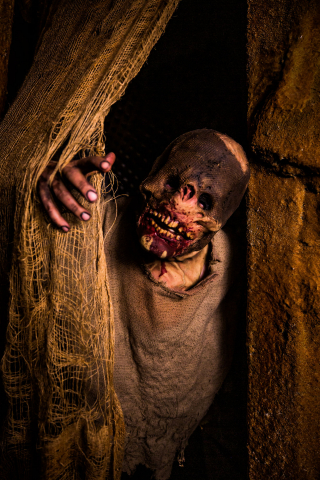 Deadmonton Haunted House Pt 2