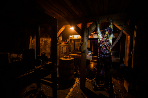 Edmonton Haunted House