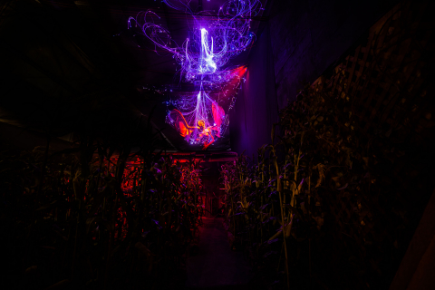 Deadmonton Haunted House