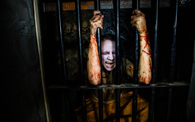 Asylum